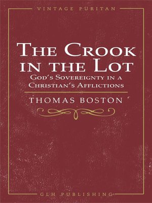 cover image of The Crook in the Lot